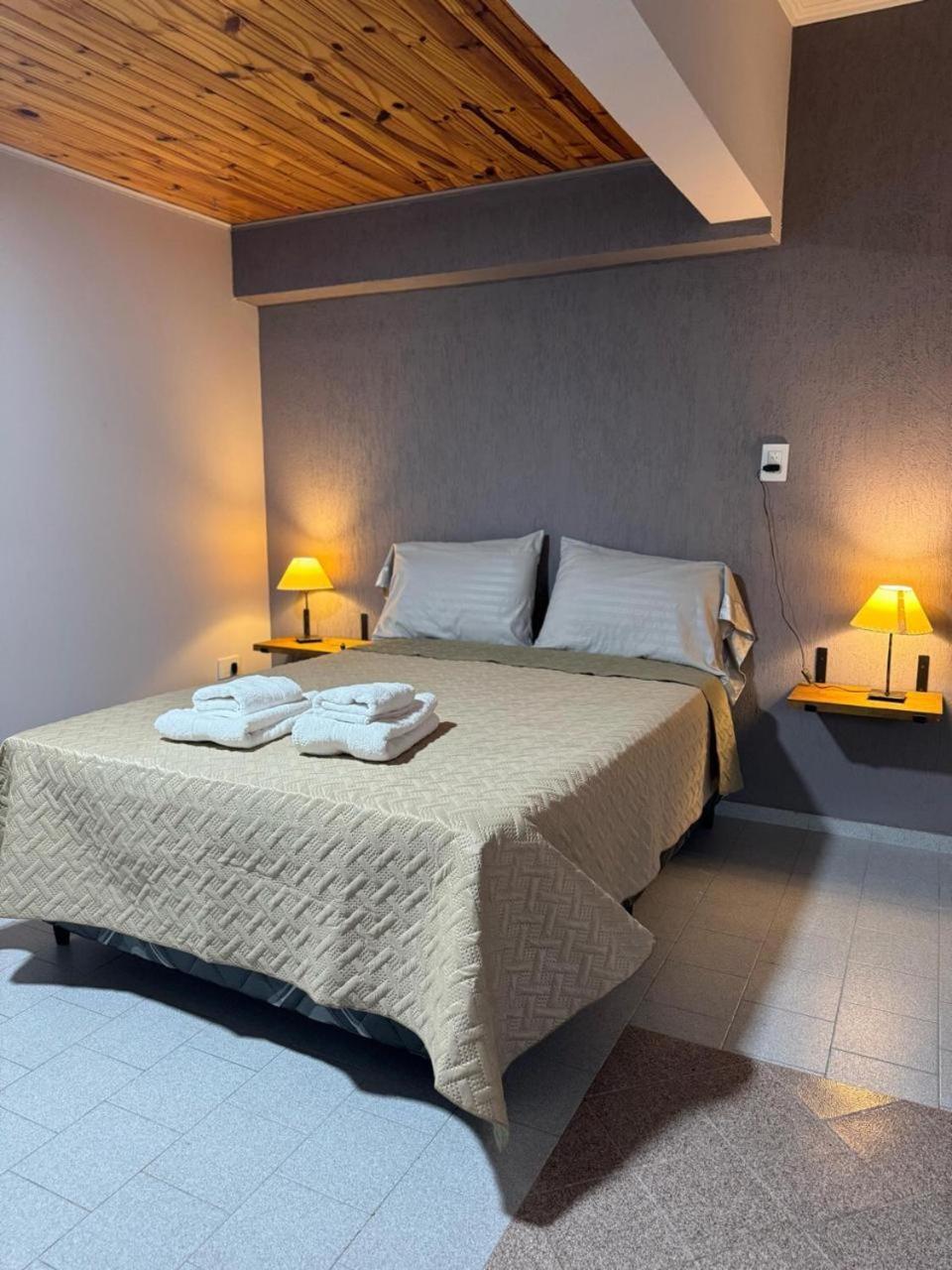 Loft De Andes Malargue