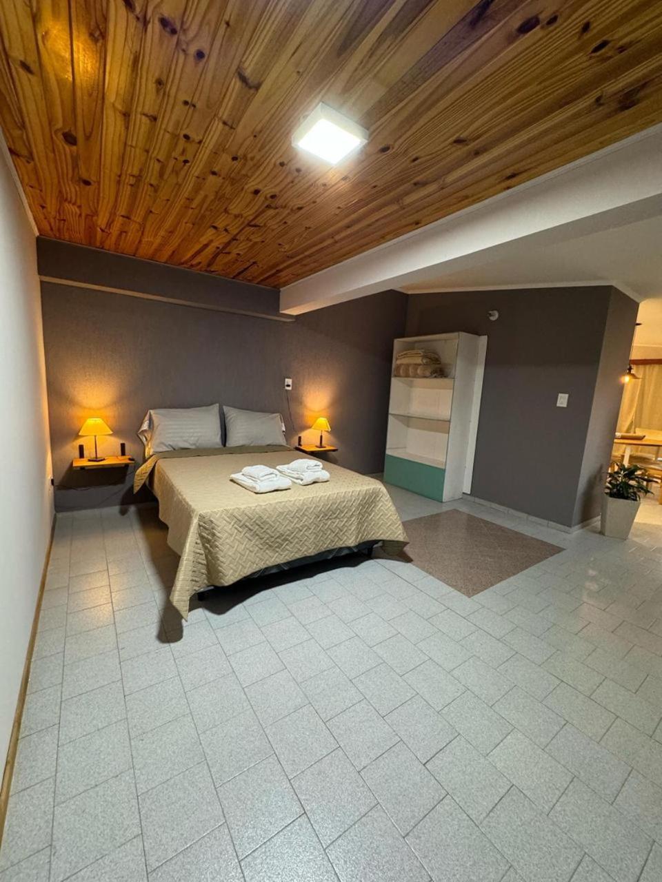 Apartment Loft De Andes Malargue